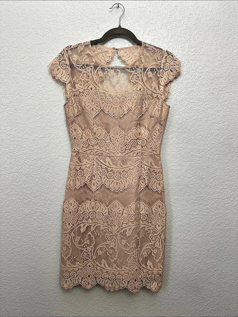 BB Dakota Jayce Lace Sheath Cocktail Dress Blush Small